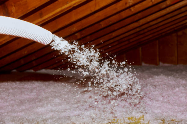 Best Insulation Contractor Near Me  in Port Angeles, WA