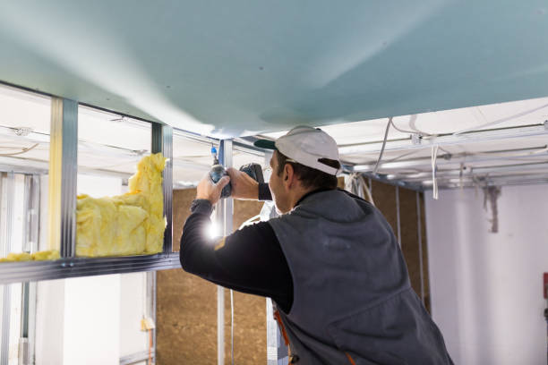 Best Spray Foam Insulation  in Port Angeles, WA