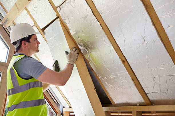 Best Insulation Contractors for Homes  in Port Angeles, WA